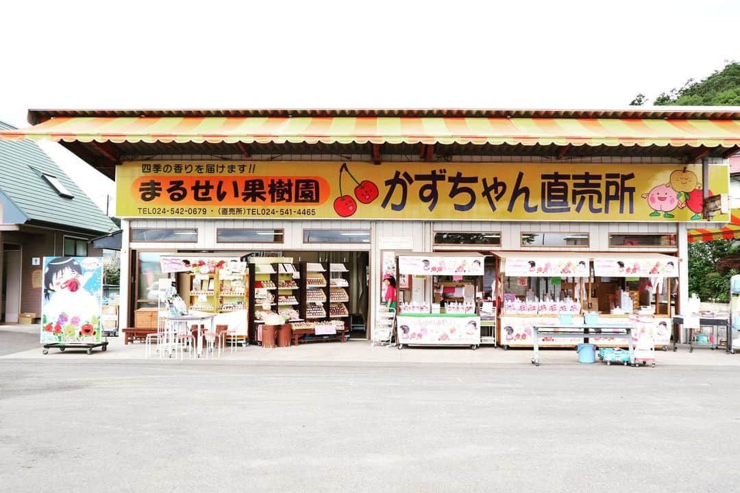 Rediscover Fukushimaさんのインスタグラム写真 - (Rediscover FukushimaInstagram)「I had a fun trip to Marusei Orchard this morning to pick my first peaches of the season! One of the owners told us all about the fruit they’re growing at the moment. The grapes won’t be ready until September or October, but they looked delicious 👀」7月16日 17時26分 - rediscoverfukushima