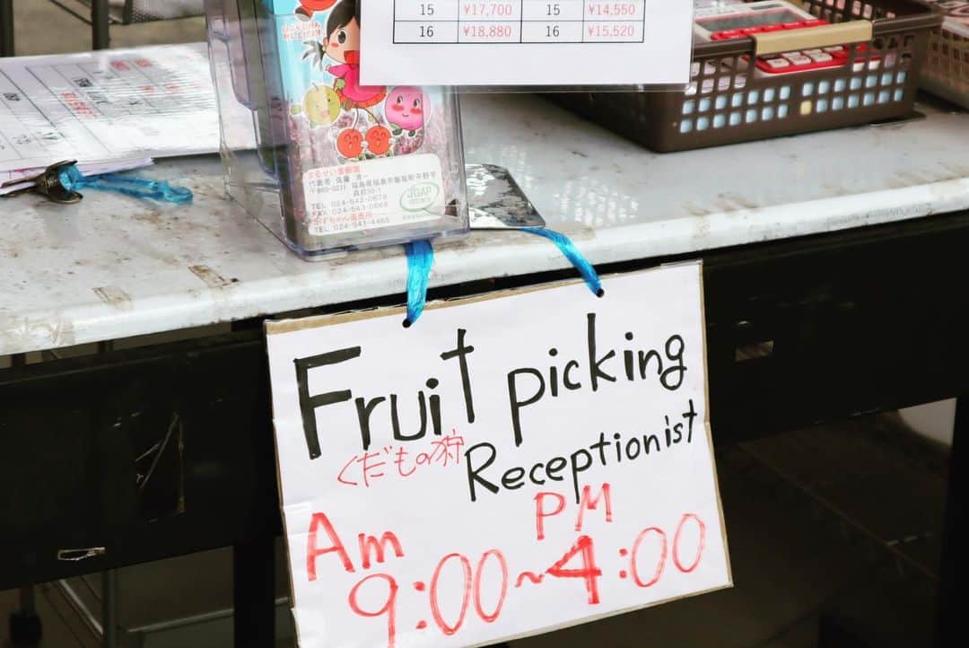 Rediscover Fukushimaさんのインスタグラム写真 - (Rediscover FukushimaInstagram)「I had a fun trip to Marusei Orchard this morning to pick my first peaches of the season! One of the owners told us all about the fruit they’re growing at the moment. The grapes won’t be ready until September or October, but they looked delicious 👀」7月16日 17時26分 - rediscoverfukushima