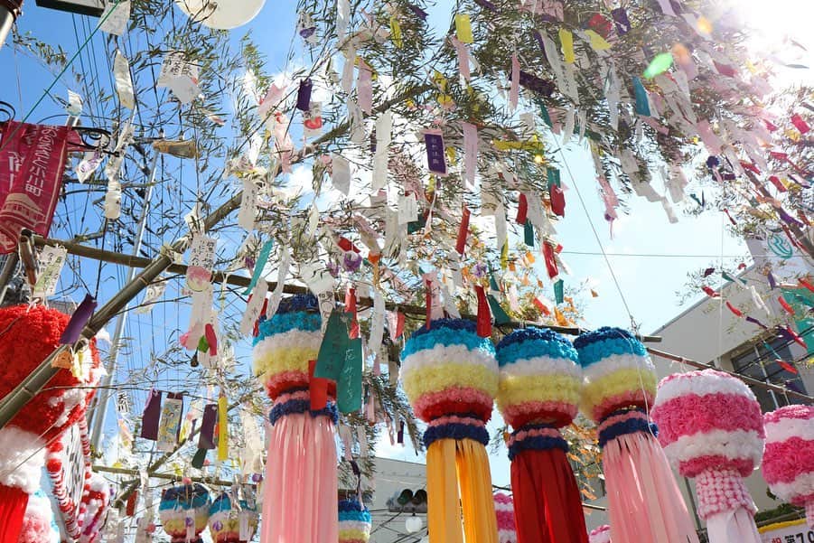 さいたまつりさんのインスタグラム写真 - (さいたまつりInstagram)「【小川和紙を使った彩り豊かな竹飾り「小川町七夕まつり」】 7月27日（土）～28日（日）は小川町にて「小川町七夕まつり」が開催されます。  北関東一を誇る豪華絢爛な竹飾りで有名な小川町を代表する夏まつりで、竹飾りには小川町の伝統産業である和紙が使われます。  駅周辺には100本を超える色とりどりの竹飾りが並び初日の夜には約1,500発の花火が夜空を彩ります♪  紙と光が醸し出す幻想的な光景をぜひ間近でご覧になってみてください！  #さいたまつり #七夕 #たなばた #花火  #埼玉 #festival  #祭り #saitamatsuri #お祭り #写真好きな人と繋がりたい #ファインダー越しの私の世界 #お祭り写真 #お祭り写真部 #ogawa #小川  #おがわ #tanabata」7月16日 17時56分 - saitamatsuri