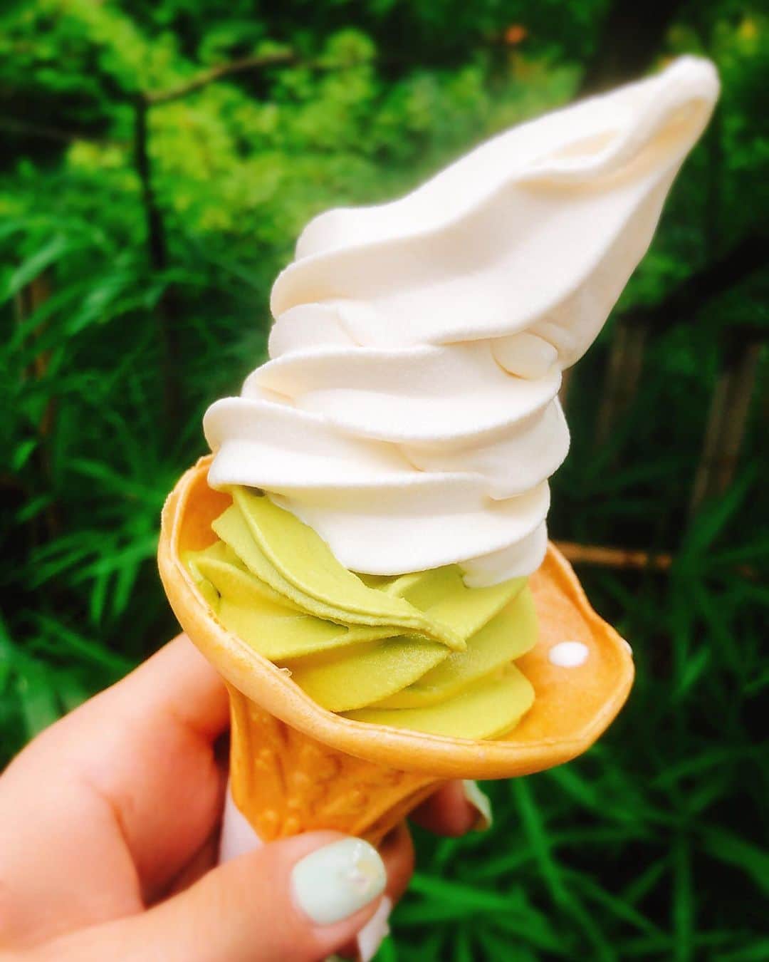 宇佐美あいりさんのインスタグラム写真 - (宇佐美あいりInstagram)「鬼太郎食べれず抹茶のミックスアイス🍦をペロリ💓そしてお墓参りは愛猫ジェイの命日です😢白黒猫ちゃんはここを守ってるソックスちゃん🐈ママが抱っこして可愛い♫ジェッP−を守ってあげてね😌✨ #すっぴん#サングラス#家族#お墓#お墓詣り#命日#動物霊園#深大寺#お参り#神社#愛猫#黒猫#白黒#猫#ねこ#cat#ソフトクリーム#抹茶#ミックス#抹茶ミックス#デザート#sweets#げげげの鬼太郎#食べれなかった#調布#つつじケ丘#followme」7月16日 18時31分 - airi.usami_official
