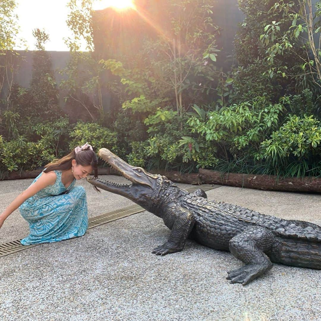 市原彩花さんのインスタグラム写真 - (市原彩花Instagram)「Night Safari🐊🦁🐘🌝‼ . シンガポールの定番の観光スポット、#ナイトサファリ にベルトラ @veltra_official のオプショナルツアーで行って来たよ😆‼️ 日中は寝てる事が多い夜行性の動物達の夜の姿を日本語トラムに乗って見学出来るの😆 めちゃくちゃ人気の場所なので人がたくさん居たけど、このツアーなら並ばずに乗れて、アニマルショーも席が確保されてるのでゆっくり見れるよ🐅 見学中は暗くてはっきりは見えないから、日本語の解説が本当にありがたい✨ 写真やムービーだと全く映らないけど（途中の動画は多分カバw）肉眼だとリアルな動物達がたくさん見えるから、じっくり観察してみて〜😊 #シンガポール#singapore#シンガポール旅行#nightsafari#ワニ#crocodile#ライオン#lion#キリン#giraffes#象#elephant#孔雀#シンガポール動物園#singaporezoo#ベルトラ#veltra . 私たちは食事無しの片道送迎のリーズナブルなツアーにしたよ🙆‍♀️ 食事付きだとビュッフェでいろいろ食べれて、食事無しでもフードコートやお土産屋さんがたくさんあるから、始まるまでブラブラ撮影しながら過ごしたよ😊 隣のシンガポール動物園の入り口行ったら、抜け出した！？クジャクや猿が屋根に🤣 帰りもタクシースタンドがあるよ🙆‍♀️ もちろん安心な送迎付きプランもあるし、好みに合わせてツアーを申し込めるのがとても良いと思った☺️ お土産も可愛いし、動物好きな人はぜひ行ってみて〜❣️ #ベルトラ公認旅レポーター#tabirepo」7月16日 18時44分 - ayaka_ichihara