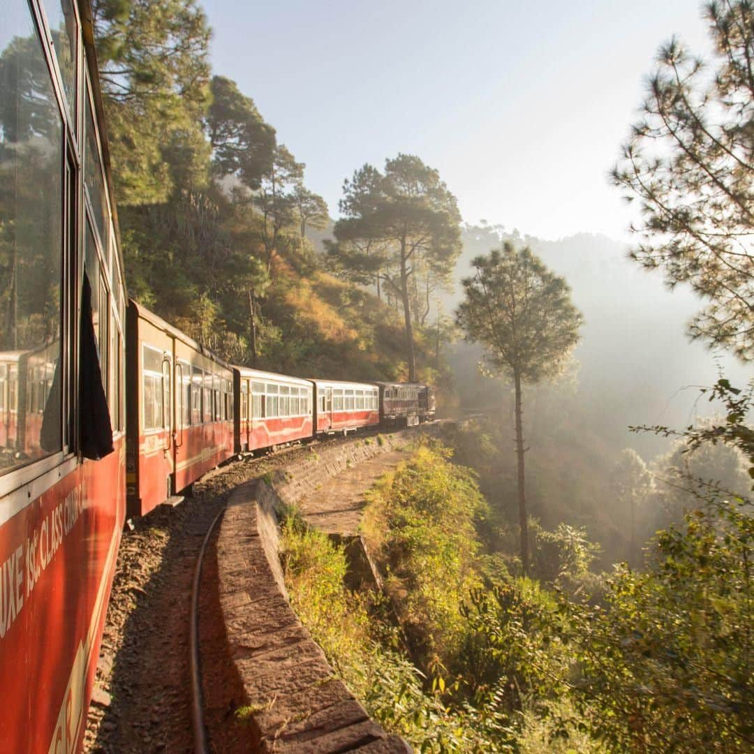 Lonely Planetさんのインスタグラム写真 - (Lonely PlanetInstagram)「As one of the world's most beguiling countries with so many well-worn tourist routes, getting off the beaten track and avoiding the crowds in #India can be tricky. Head to our link in bio to find out how to get off the beaten track in this vast, diverse and endlessly beautiful nation. 🇮🇳 (📷 @philip_lee_harvey_photographer)」7月16日 19時36分 - lonelyplanet