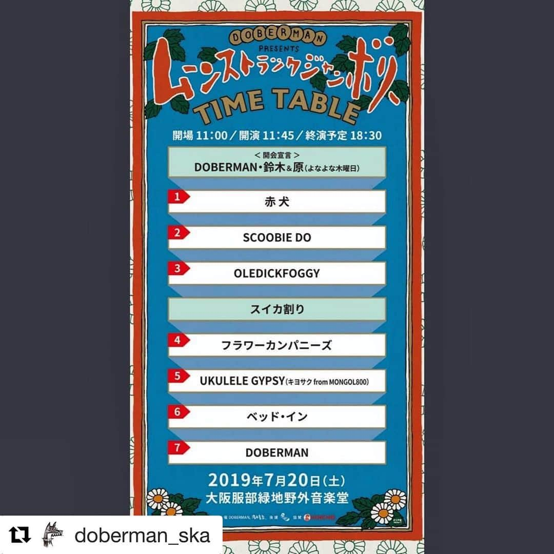 シーサーさんのインスタグラム写真 - (シーサーInstagram)「・ いよいよ今週末の土曜日！ ワクつくなぁ◎ パーティーしようぜぃ！ ピス！ #Repost @doberman_ska ・・・ タイムテーブル発表！！！ . ムーンストラックジャンボリー2019 7月20日(土)服部緑地野外音楽堂 OPEN 11:00／START 11:45 . [自由席(一般)] 4,500円 [自由席(学生)] 2,500円 ※当日券は500円UPとなります。 . ■全出演者 DOBERMAN 赤犬 UKULELE GYPSY（キヨサク from MONGOL800） OLEDICKFOGGY SCOOBIE DO フラワーカンパニーズ ベッド・イン . MC：鈴木淳史(雑誌ライター)＆原偉大(雑誌編集者) . . 詳細は清水音泉 HPまで https://www.shimizuonsen.com/schedule/detail/2158/ . . #MSJ2019 #ムーンストラックジャンボリー #doberman_ska #フラワーカンパニーズ #SCOOBIEDO #ウクレレジプシー #UKULELEGYPSY #MONGOL800 #ベッド・イン #オールディックフォギー #OLEDICKFOGGY #赤犬 #abcyonayona #清水音泉 #KINCHO」7月16日 20時00分 - __seasir__