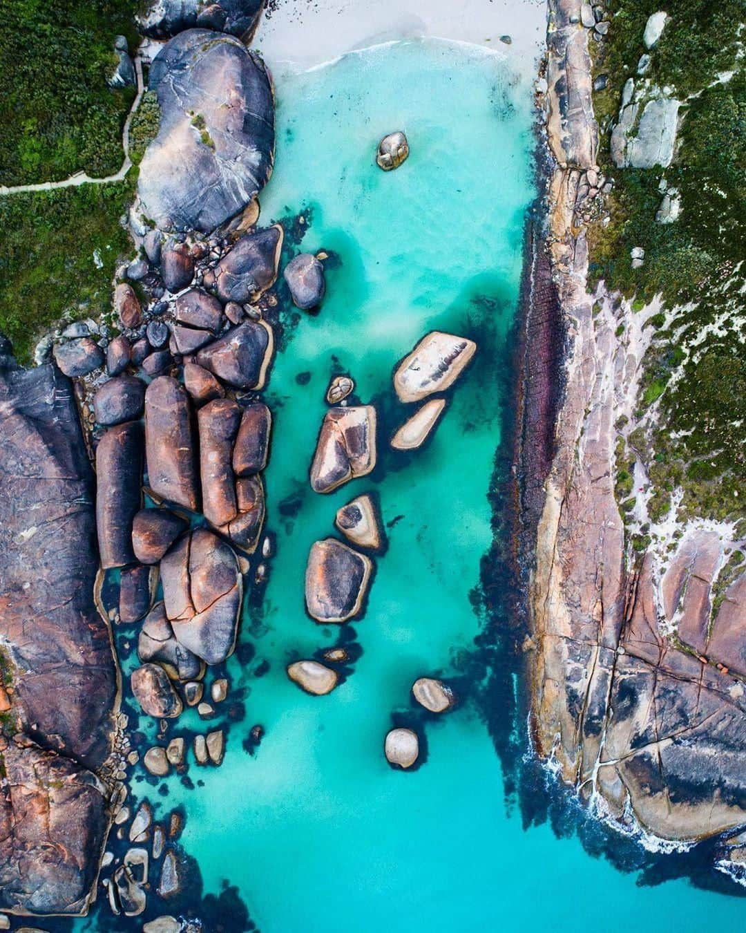 Australiaさんのインスタグラム写真 - (AustraliaInstagram)「How many elephants can you count? 🐘 @scottslawinski got a birds-eye-view of @westernaustralia’s iconic #ElephantRocks, aptly named for how much they look like a herd of elephants paddling in the shallow waters. Located inside @australias_southwest’s #WilliamBayNationalPark, you can swim alongside these make-believe stone animals in the Great Southern Ocean, or have a lie-down and admire them from the soft white sand.  #seeaustralia #justanotherdayinwa #australiassouthwest #thegreatoutdoors #travel」7月16日 20時00分 - australia