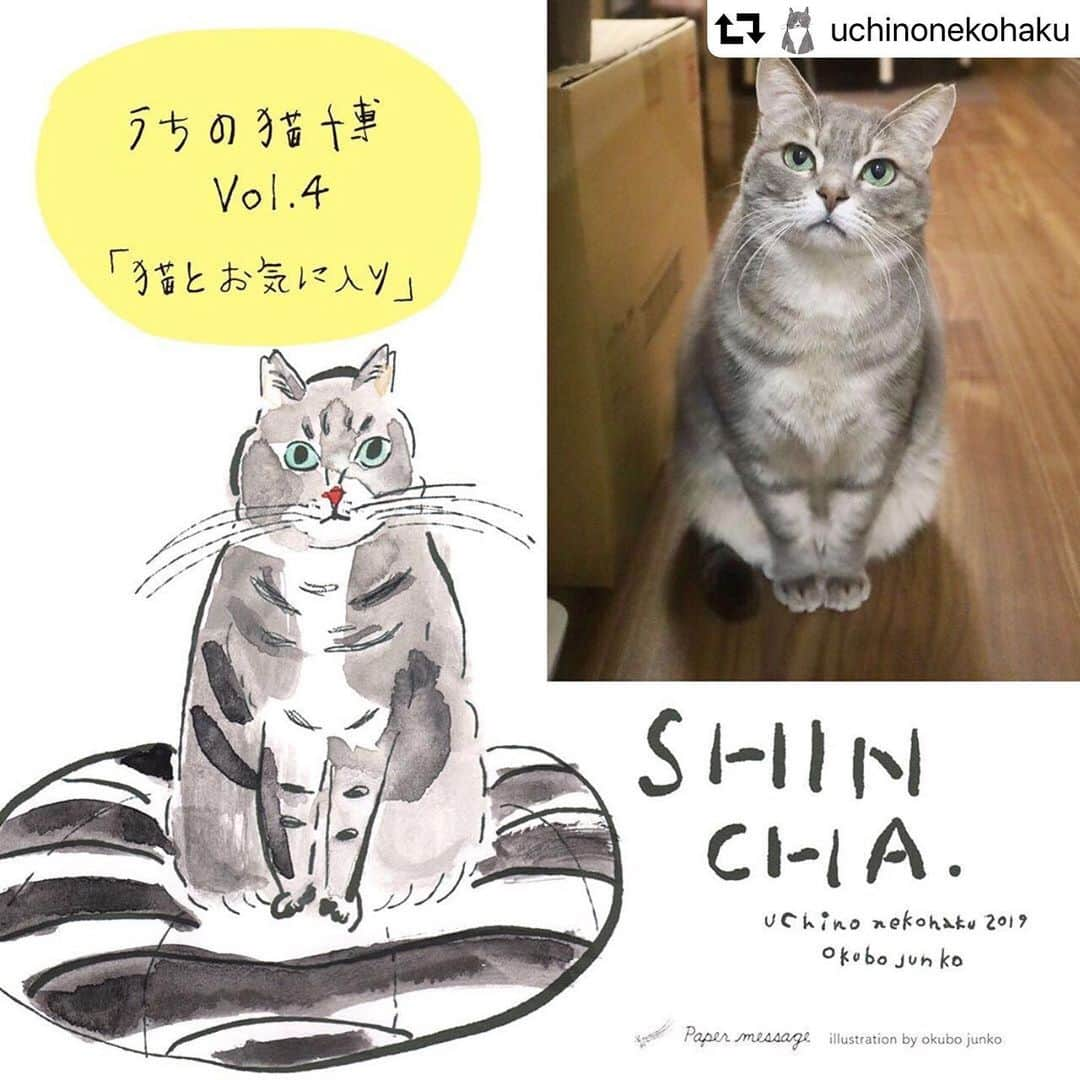 marikill66さんのインスタグラム写真 - (marikill66Instagram)「✼ うちの猫博🖤新茶😼✨ * * #repost @uchinonekohaku ・・・ ・ 【2019うちの猫博🚩１日１猫紹介🚩No.32】 新茶（5歳の女の子） お気に入りはボーダーのベッドでくつろぐこと😪💕 お耳がすぐぺったんこなイカ耳になるのがチャームポイントの5歳の女の子😽🦑 ・ ✳︎✳︎✳︎✳︎✳︎✳︎✳︎✳︎✳︎✳︎✳︎✳︎✳︎✳︎✳︎✳︎✳︎✳︎✳︎✳︎✳︎✳︎✳︎ 『うちの猫博vol.4』 2019.6.1(土)〜8.25(日) 《原画展日程》 ●前期 2019.6.1(土)〜7.7(日) ●後期 2019.7.13(土)〜8.25(日) ※原画展は半数ずつ、吉祥寺店・おびやまち店の両店で行います。  ご覧になりたい猫がいる場合は事前に当店へご確認をお願いいたします。 ✳︎✳︎✳︎✳︎✳︎✳︎✳︎✳︎✳︎✳︎✳︎✳︎✳︎✳︎✳︎✳︎✳︎✳︎✳︎✳︎✳︎✳︎✳︎ ・ #ペーパーメッセージ #papermessage #うちの猫博 #うちの猫博vol4 #猫博 #猫フェア #猫イベント #関西ねこ部 #ねこ部 #猫グッズ #cat#ilovecat #にゃんこ #ニャンスタグラム #猫スタグラム #にゃんスタグラム #猫好き#ねこら部 #ねこのいる生活 #ねこのいる暮らし #ねこグッズ #ネコグッズ #猫色祭 #catart #catsofinstagram * #fukushincha #marikill66_0716 #fukukohakushinchaart #fukukohakushinchacongrats」7月16日 20時08分 - marikill66