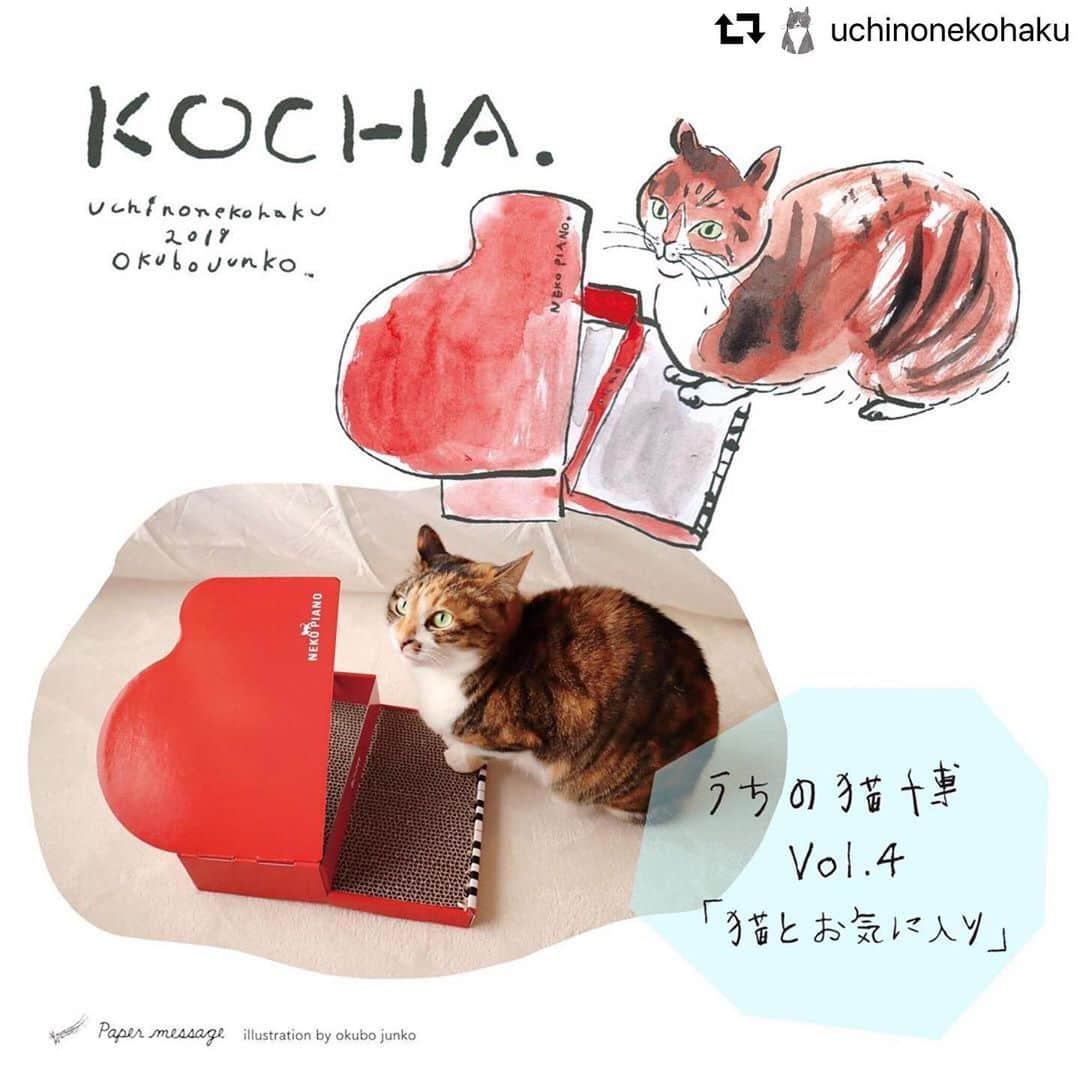 marikill66さんのインスタグラム写真 - (marikill66Instagram)「✼ うちの猫博❤️紅茶😸✨ * * #repost @uchinonekohaku ・・・ ・ 【2019うちの猫博🚩１日１猫紹介🚩No.43】 紅茶(6歳のメス) お気に入りはピアノ型爪とぎ🎹🐈 まるでピアノを弾いているような姿が可愛らしい6歳の女の子❣️ ✳︎✳︎✳︎✳︎✳︎✳︎✳︎✳︎✳︎✳︎✳︎✳︎✳︎✳︎✳︎✳︎✳︎✳︎✳︎✳︎✳︎✳︎✳︎ 『うちの猫博vol.4』 2019.6.1(土)〜8.25(日) 《原画展日程》 ●前期 2019.6.1(土)〜7.7(日) ●後期 2019.7.13(土)〜8.25(日) ※原画展は半数ずつ、吉祥寺店・おびやまち店の両店で行います。  ご覧になりたい猫がいる場合は事前に当店へご確認をお願いいたします。 ✳︎✳︎✳︎✳︎✳︎✳︎✳︎✳︎✳︎✳︎✳︎✳︎✳︎✳︎✳︎✳︎✳︎✳︎✳︎✳︎✳︎✳︎✳︎ ・ #ペーパーメッセージ #papermessage #うちの猫博 #うちの猫博vol4 #猫博 #猫フェア #猫イベント #関西ねこ部 #ねこ部 #猫グッズ #cat#ilovecat #にゃんこ #ニャンスタグラム #猫スタグラム #にゃんスタグラム #猫好き#ねこら部 #ねこのいる生活 #ねこのいる暮らし #ねこグッズ #ネコグッズ #猫色祭 #catart #catsofinstagram * #fukukocha #marikill66_0716 #fukukohakushinchaart #fukukohakushinchacongrats」7月16日 20時22分 - marikill66