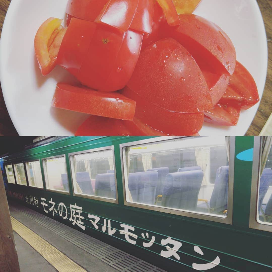 山本しろうのインスタグラム