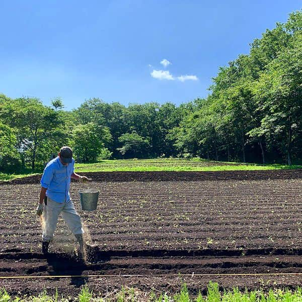 【公式】星野リゾート　リゾナーレさんのインスタグラム写真 - (【公式】星野リゾート　リゾナーレInstagram)「アグリツーリズモリゾートをコンセプトとした星野リゾート リゾナーレ那須。施設内にある田んぼと畑では11月1日の開業に向けて準備が進んでます。#星野リゾート#星野リゾートリゾナーレ#星野リゾートリゾナーレ那須#旅行#アグリツーリズモリゾート#  田んぼ #農作業 #原風景 #風景 #美しい #散歩#hoshinoresorts#hoshinoresortsrisonare#hoshinoresortsrisonarenasu#travel#agriturismoresort#landscape#farmwork#landscape#beautiful#walk#japan」7月16日 20時57分 - hoshinoresorts.risonare