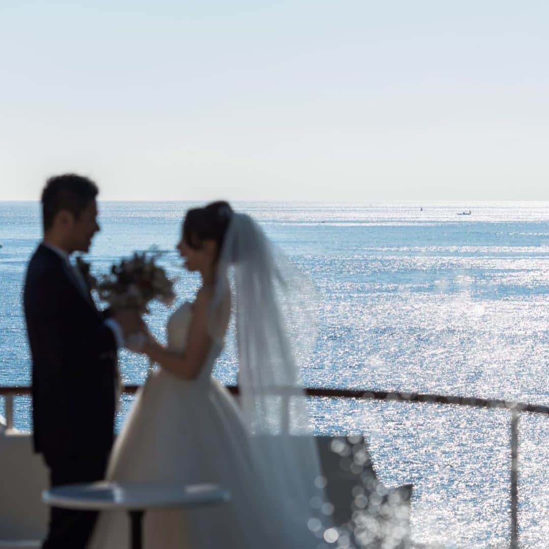 指帆亭のグルメインスタ