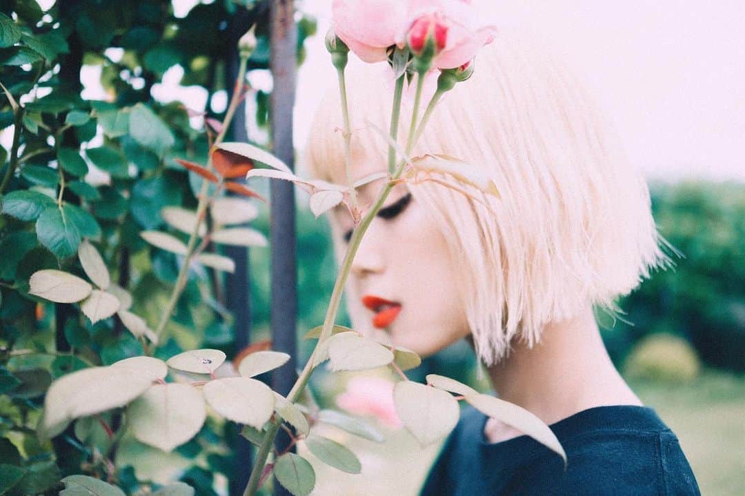 のインスタグラム：「📸 by @lonesome_ishimoto コメント返します 今日中で出来るだけ」