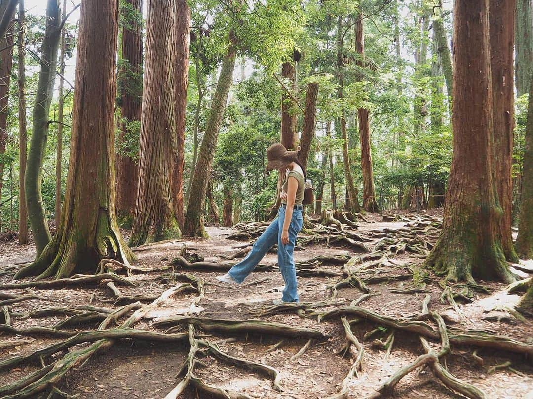 篠原真衣さんのインスタグラム写真 - (篠原真衣Instagram)「. . お休みの朝、急に決まった はじめての貴船→鞍馬の旅。 . 貴船で降りて、散策した後40分ほど山を登って鞍馬寺に到着するんだけど汗だくになって気持ちよかったぁ。 . 次は是非貴船の川床予約して涼みに来たいな😊 . 大阪出身ですが関西のことを何も知らない恥ずかしいわたしは、折角だからと帰りに下鴨神社にも行ってきましたが、雷鳴が聞こえてきたのでとても急いで写真を撮る暇はありませんでした笑。 下鴨神社もまた違う、気持ちの良い場所。 女の子用の御守りが一つ一つ違う柄の和服の生地を使っていて可愛かったよ🌸。 . . 心地よい疲労感の良い休日 . さっ台本読んで寝よっ😊 . #洋服の篠原」7月16日 21時31分 - shinomai425