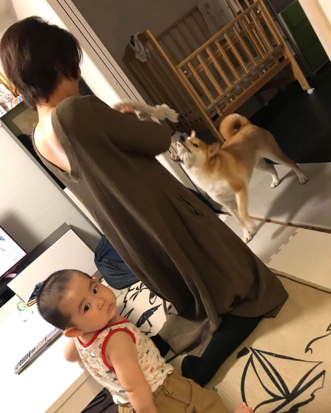 古閑美保さんのインスタグラム写真 - (古閑美保Instagram)「おいおい、両サイドから引くなよー😍😍😍」7月16日 21時31分 - kogamihokogamiho