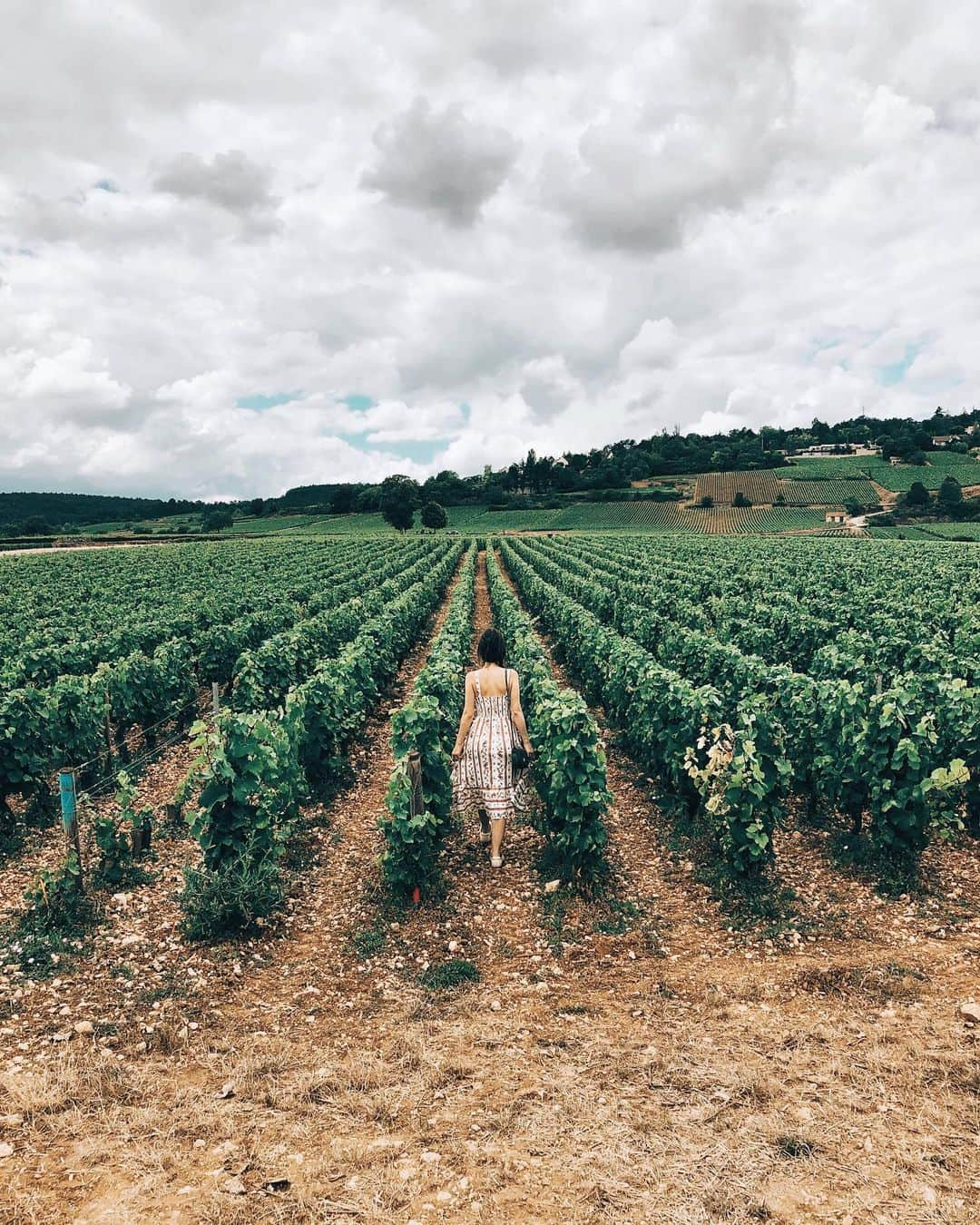 ケイト・ボイージェルさんのインスタグラム写真 - (ケイト・ボイージェルInstagram)「strolling through endless rows of vines in Burgundy🍷 it’s been so cool to discover one of the only regions of France I haven’t been to yet. Pinot Noir and Chardonnay have never been my go-to wines, but I’m pretty sure Beaune has converted me! This region is so beautiful ☀️🇫🇷🍇 #igersbourgogne #beaune #bourgogne」7月16日 21時37分 - katevoegele