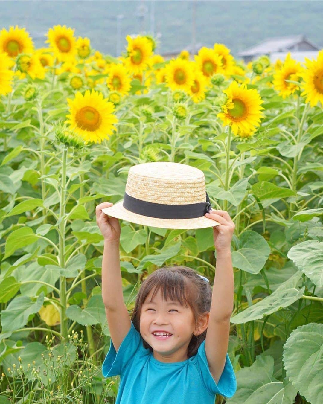 タビスルキッズのインスタグラム：「今週もよろしくお願いします😊 現在、「初夏」を楽しんでいるお写真・動画を募集中です✨ 本日の #タビスルキッズ はこちら💕 📷@haks.fさん 🚩愛知県・田原町「259号沿い」 🎙ご本人コメント(一部抜粋) まだまだ梅雨明けそうもありませんが、もう向日葵、沢山咲いていましたよ🙌 ﻿﻿﻿﻿﻿＊＊＊＊＊＊ 梅雨明けが待ち遠しくなる爽やかなお写真ですね🌻 いつも、素敵なお写真ありがとうございます💕」