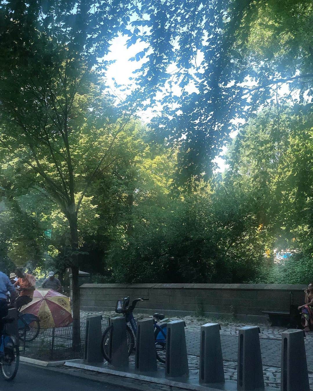 ザックポーゼンさんのインスタグラム写真 - (ザックポーゼンInstagram)「#centralpark #nyc today!」7月16日 22時51分 - zacposen