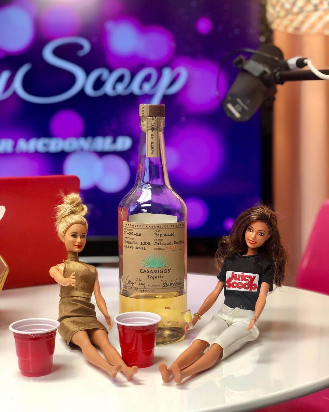 ヘザー・マクドナルドのインスタグラム：「All new Juicy Scoop up now with Saint @deniserichards  Everyone’s new favorite and most relatable real housewife, actress, and mother answers all of my juicy questions. Denise really is the sweet, funny, down to earth delight we all imagined her to be. From Starship Troopers to caring for Charlie Sheen’s sons with his second wife, Denise has lived it all. We also cover her babe husband Aaron, Lisa Rinna, Camille, Dorit and her Catholic guilt. So juicy, so refreshing, so real, Saint Denise!」
