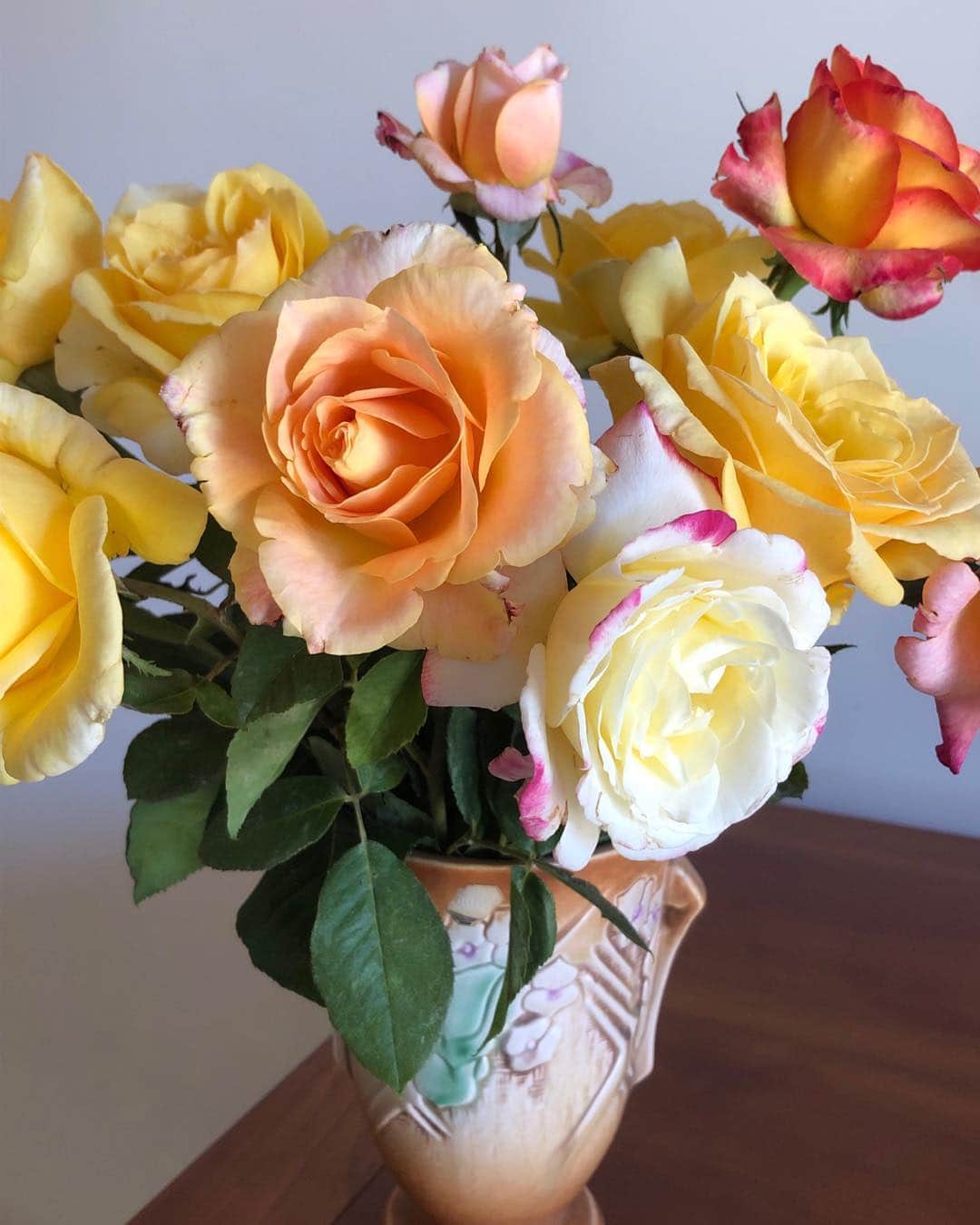 メアリー・マクドネルのインスタグラム：「See beauty today with all your might. Balance.Love.Joy」