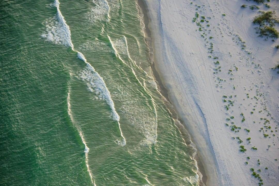 National Geographic Travelさんのインスタグラム写真 - (National Geographic TravelInstagram)「Photo by Carlton Ward Jr @carltonward | Summer brings back lifelong memories of the Gulf of Mexico. Long days with family and friends, diving, fishing, surfing, and tropical storms. The Gulf was my initial connection with wild Florida. These two photos are from edges of the Florida Wildlife Corridor, where Florida's wild interior meets the Gulf coast. The image shows Gulf Islands National Seashore near Pensacola. The beauty of the Gulf's surface hides a darker truth—pollution and development on land threaten its health. The Gulf of Mexico watershed encompasses 31 US States (and parts of Canada), making it downstream from most of the country. #GulfofMexico #FloridaWildlifeCorridor」7月13日 4時00分 - natgeotravel