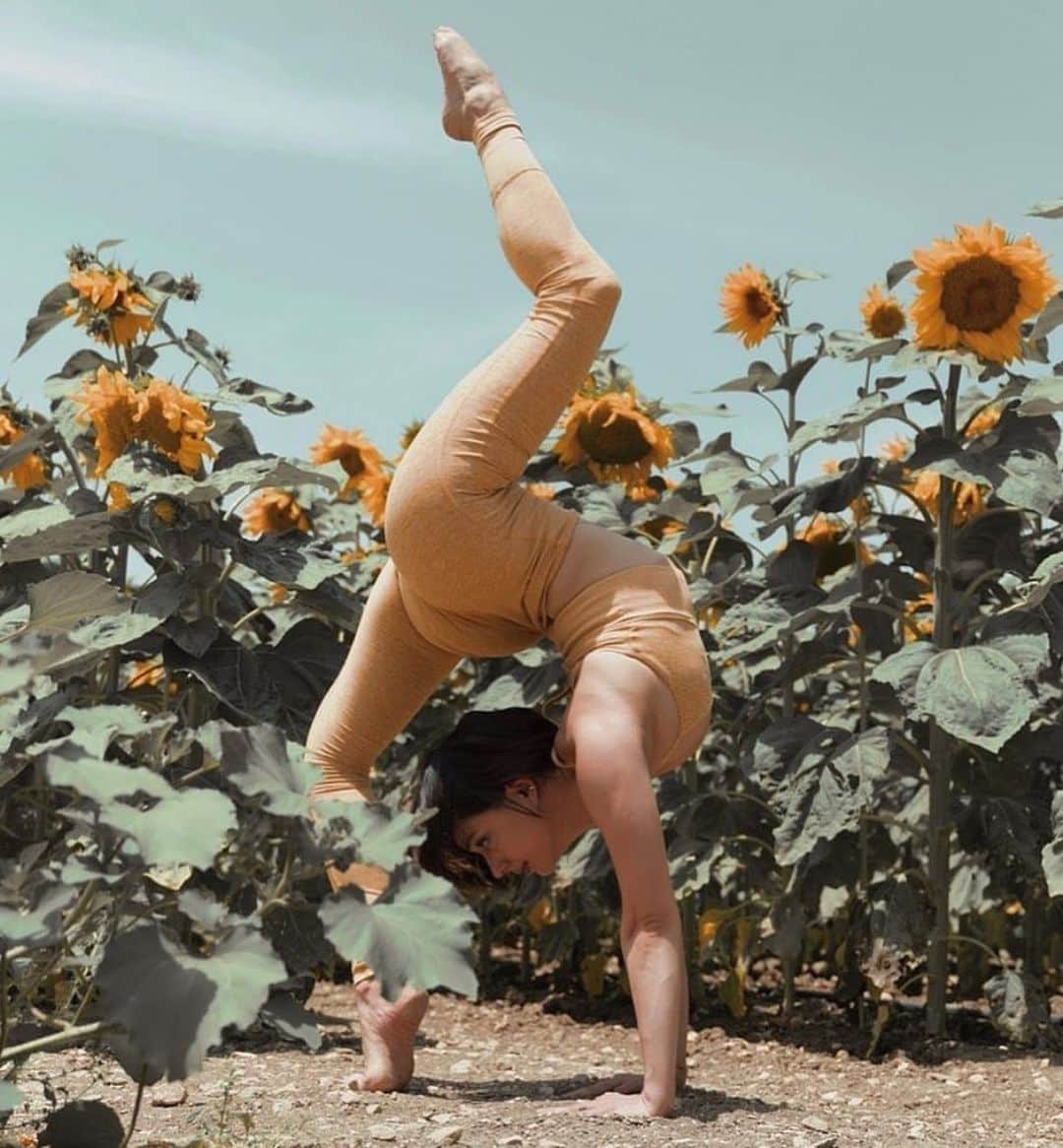 ALO Yogaさんのインスタグラム写真 - (ALO YogaInstagram)「“A flower blossoms for its own joy.” - Oscar Wilde 🌻  @talia_sutra blossoms alongside the sunflowers in this strong One-Legged Wheel Pose 🙌 She’s wearing her Tuscan Sun Heather Alosoft Lush Bra & High-Waist Lounge Leggings ☀️😌 #aloyoga #yoga」7月13日 4時03分 - aloyoga