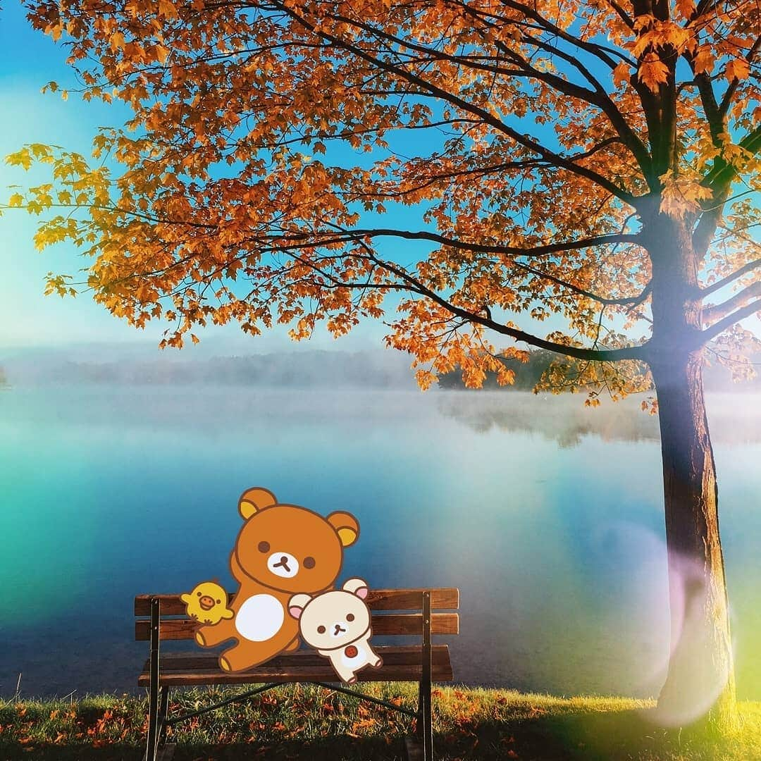 Rilakkuma US（リラックマ）さんのインスタグラム写真 - (Rilakkuma US（リラックマ）Instagram)「It's summer time! ☀️Grab a fresh squeezed lemonade, hop on a hammock, and enter our Relax With Rilakkuma Challenge on PicsArt! Use provided stickers and sticker brushes to remix Rilakkuma into the ultimate scene of relaxation!  Rules and how to enter here: bit.ly/RilakkumaPicsArt . . . #rilakkumaus #rilakkuma #sanx #picsart @picsart #photochallenge #contest #giveaway #kawaii #korilakkuma #リラックス #サンエックス」7月13日 2時40分 - rilakkumaus