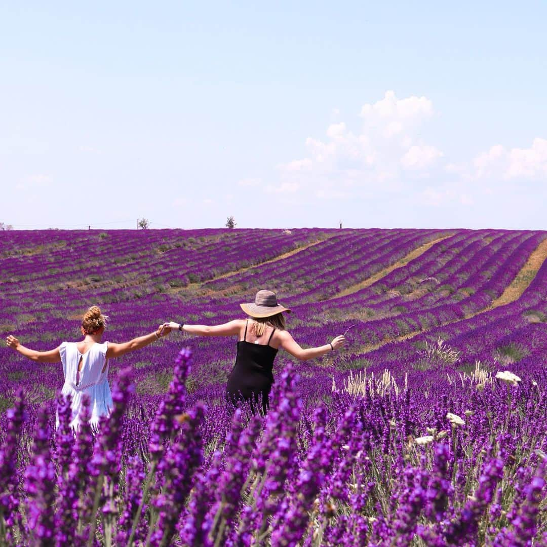 エリザベス・バイゼルさんのインスタグラム写真 - (エリザベス・バイゼルInstagram)「Now that’s what I call a LAVENDER FIELD.」7月13日 2時41分 - ebeisel34