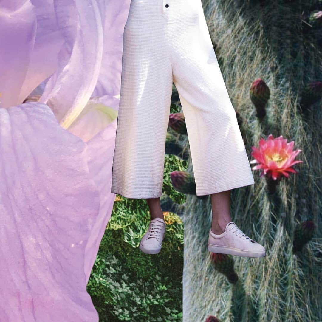 シドニー・ブラウンのインスタグラム：「Step into bliss with our Low Sneakers! ⠀⠀⠀⠀⠀⠀⠀⠀⠀ #consciouscommunity #consciousstyle #sneakersnstuff #sustainabledevelopment #ethicalvegan #kickstagram」