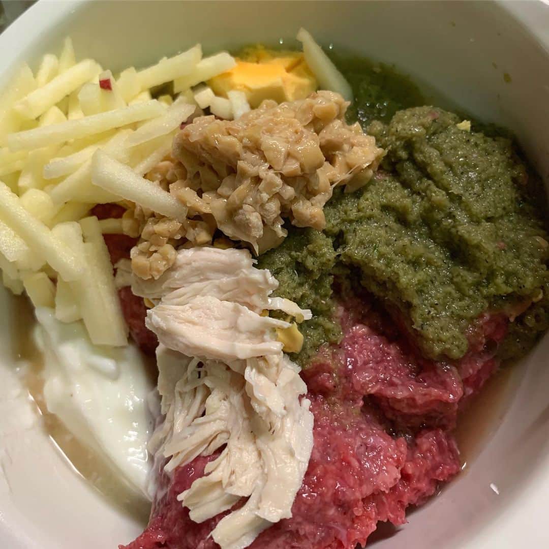 岸本加世子のインスタグラム：「我が家のワンコ飯。 牛生肉。3０種の野菜と果物をミキサーした物。引き割り納豆。ササミ。ゆで卵の黄身。ブルガリアヨーグルト。りんごのみじん切り。消化吸収が良いのでウンチの量が少ないです。手間はかかりますが、人が食べれる安心な物をあげたいです。」