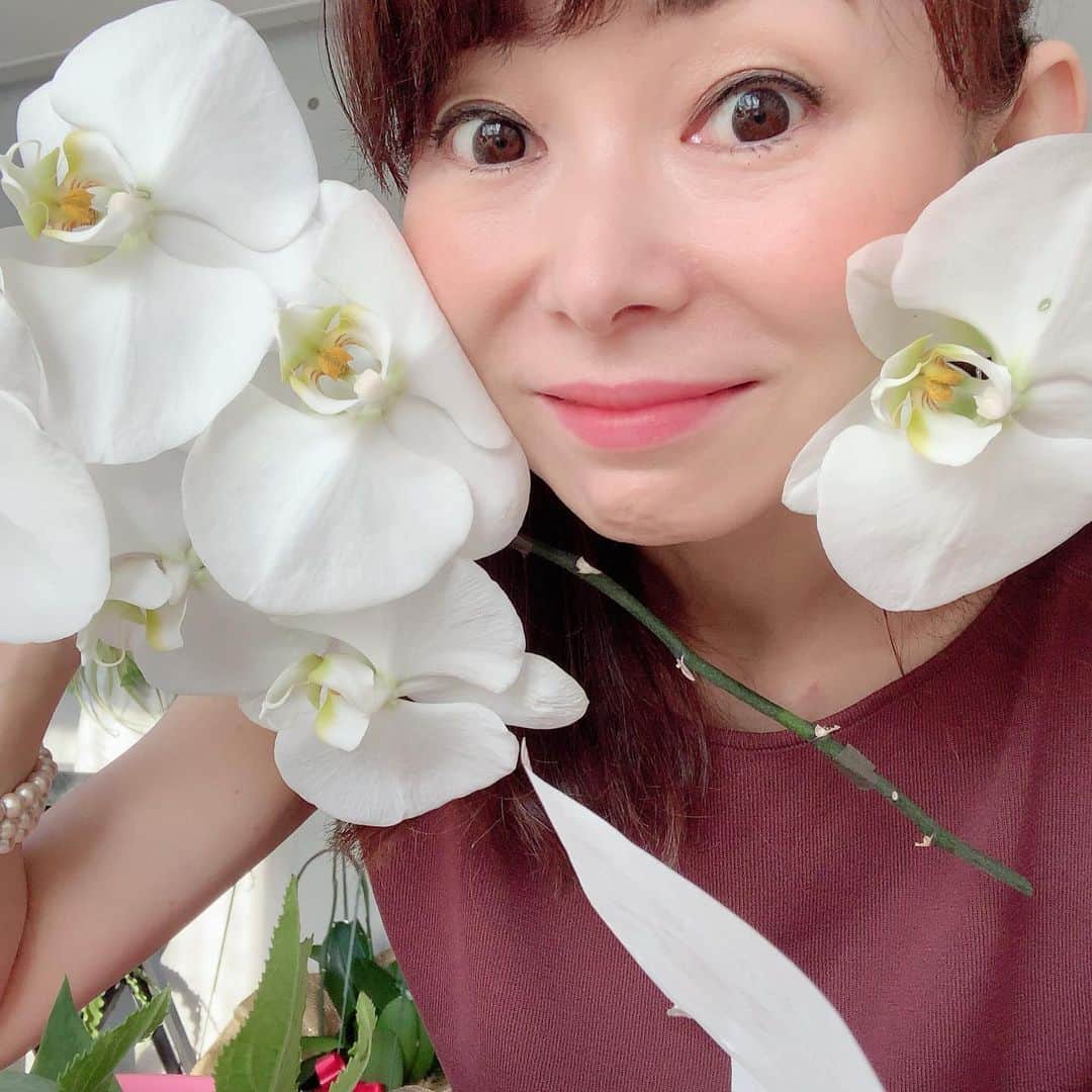 荒生暁子さんのインスタグラム写真 - (荒生暁子Instagram)「広島に帰って来ました。 まだまだ出張シーズン中ですが 来週いっぱいは 広島拠点でお仕事しています。 ご用がありましたら オフィスへどうぞ〜 久しぶりにお花を飾ります。 #業務連絡でした」7月12日 19時25分 - akikoarao0904