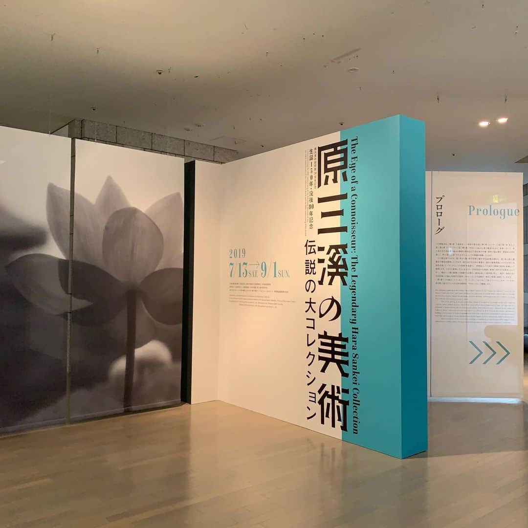 林信行のインスタグラム：「横浜市中区本牧の三溪園を作った人物、原三溪（本名：富太郎）の美術展が横浜美術館で開催されます。 「 #原三渓の美術 伝説の巨大コレクション」展。 明治、大正、昭和という時代を生き抜いた原三溪は、まさに現在の日本美術の１つの基盤を作った人物。 自身が白蓮の軸であったり、上記の三溪園を作ったアーティストとしての顔を持ちながら、巨万の富を持つ実業家としての顔も持ち、その富で骨董品を収集しつつ自らの体系を作り、岡倉天心と交流のある茶人としても活躍し、さらには多くの美術家を育てたパトロンとしての顔も持つ原三溪。 横浜美術館の開館30周年記念イベントかつ原三溪没後８０年記念として時間をかけて企画を練る中、いくつもの古文書や売買の記録を調査した上で原三溪が作った美術の体系をなぞりながら、コレクター、茶人、アーティスト、パトロンの４つの顔を通して原三溪が醸成した日本美術をなぞる展覧会に仕上げてある（資料館にて関連資料の展示もある）。 同期間、三溪園との相互割引も用意されているようなので、横浜を訪れる方は両方を巡って横浜という街が日本文化に与えた影響を感じてみるのもいいかも知れない。 国宝や重要文化財をたくさん含むコレクションは、学校の美術や歴史の教科書で見たような作品も多く見応えあります。 また、いつものことですが、横浜美術館なのでコレクション展も圧巻です！」