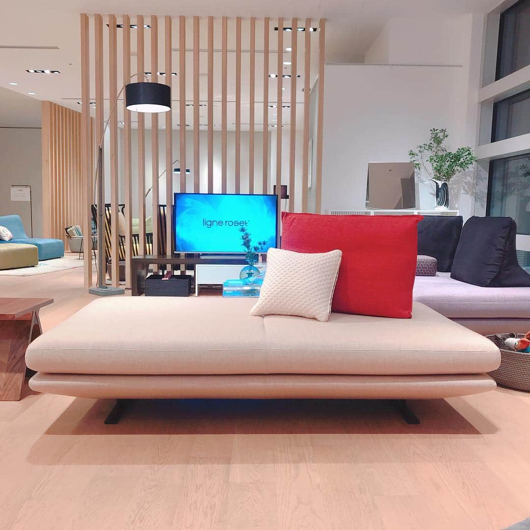 ligne roset shopのグルメインスタ