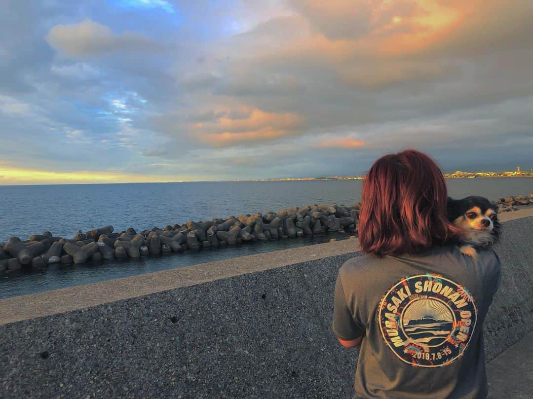 広野あさみのインスタグラム：「@shonanopen 湘南オープンが15日まで開催されています🌊  オフィシャルTシャツは @billabong_japan です^_^  写真は日本海ですが笑 また湘南遊びに行くぞー！！🏄‍♀️ #bwjp」
