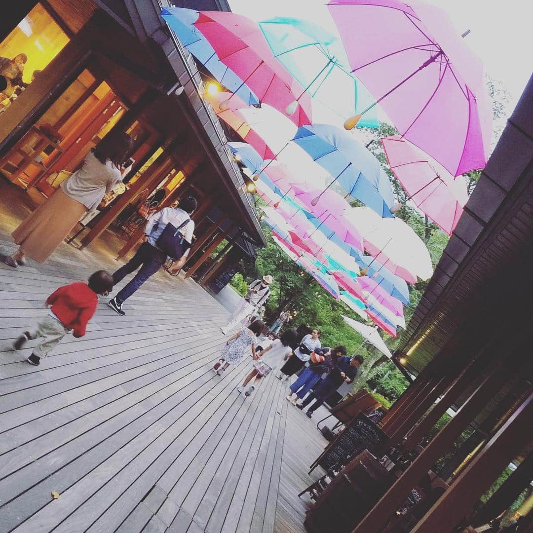 桑原麻美さんのインスタグラム写真 - (桑原麻美Instagram)「#星のや軽井沢 のそばにある #ハルニレテラス には、 梅雨時期だけの傘のオブジェ。  雨は降らないけど、 晴れることはなかった滞在中。  梅雨時期に来られて ちょっと得した♪と 感じる景色^ ^  アナウンサーが教える 声と話し方のメルマガ  ご登録はプロフィール欄から♡ @asami_kuwabara  #アナウンサー#フリーアナウンサー#司会者#話し方講師#話し方レッスン#アラフィフママ#プレゼンテーション#スピーチ」7月12日 20時32分 - asami_kuwabara