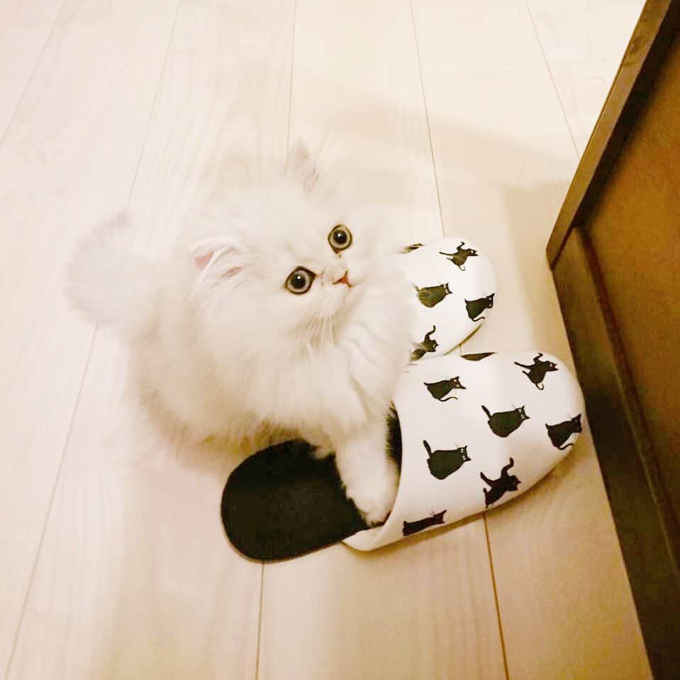 manami☺︎satoのインスタグラム