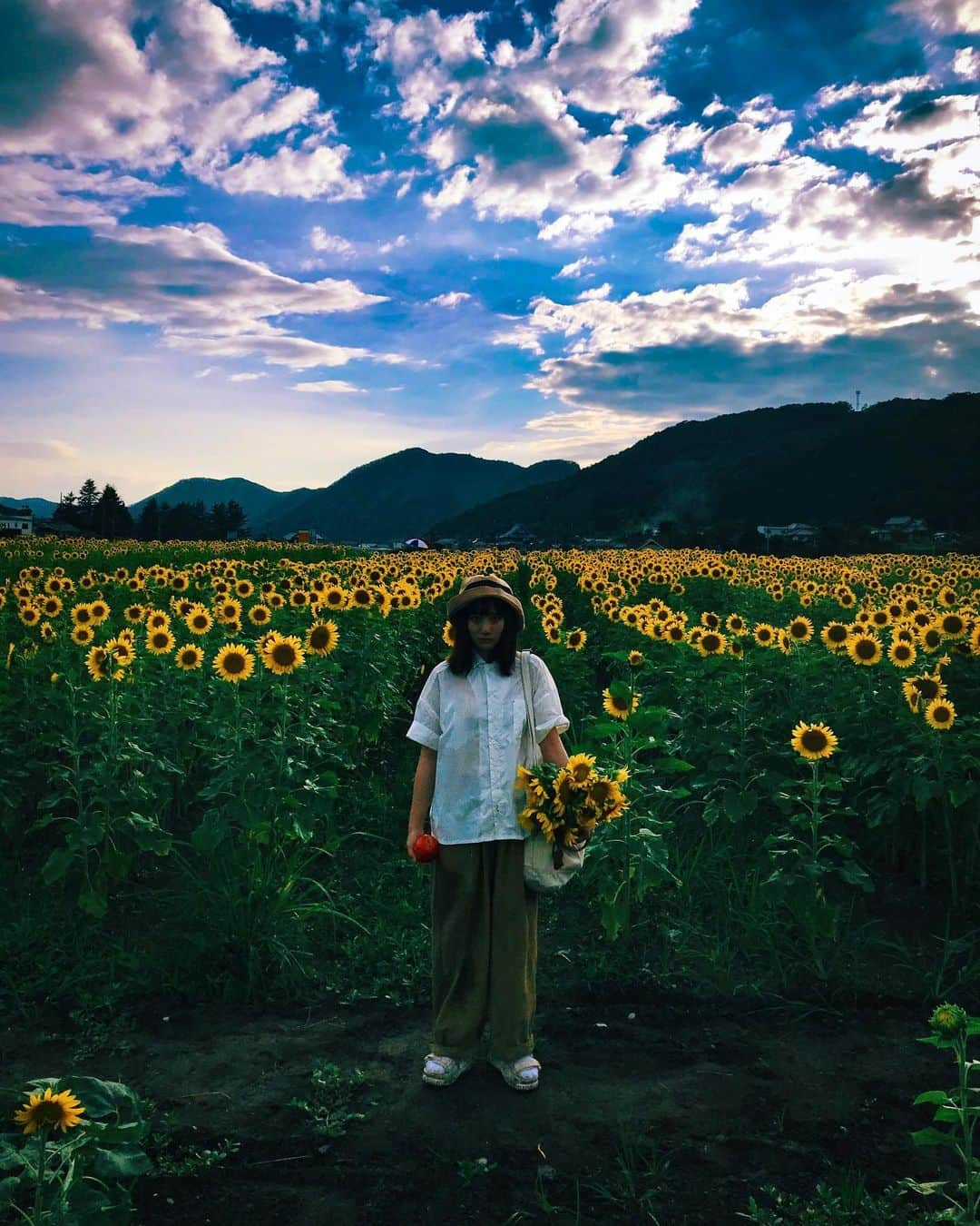 hiderin777さんのインスタグラム写真 - (hiderin777Instagram)「🌻🌻🌻🌻🌻🌻🌻🌻 . . . 空と太陽のコントラスト . . . . #りんごがーる  #西播磨  #佐用町ひまわり畑  #iphoneshot」7月12日 20時51分 - ringostar.desu