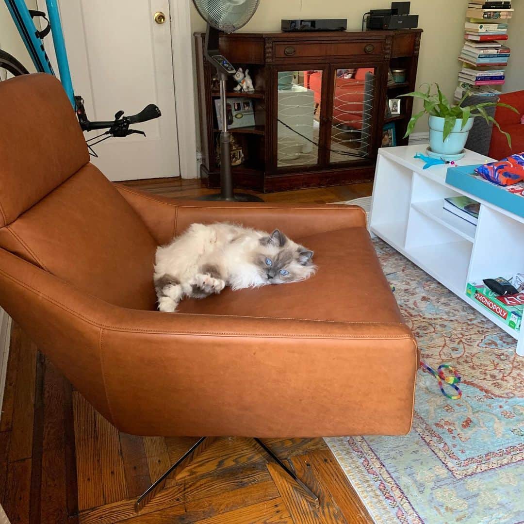 Tinaのインスタグラム：「Lounging the day away because it’s FriYAY!🙌🏻」