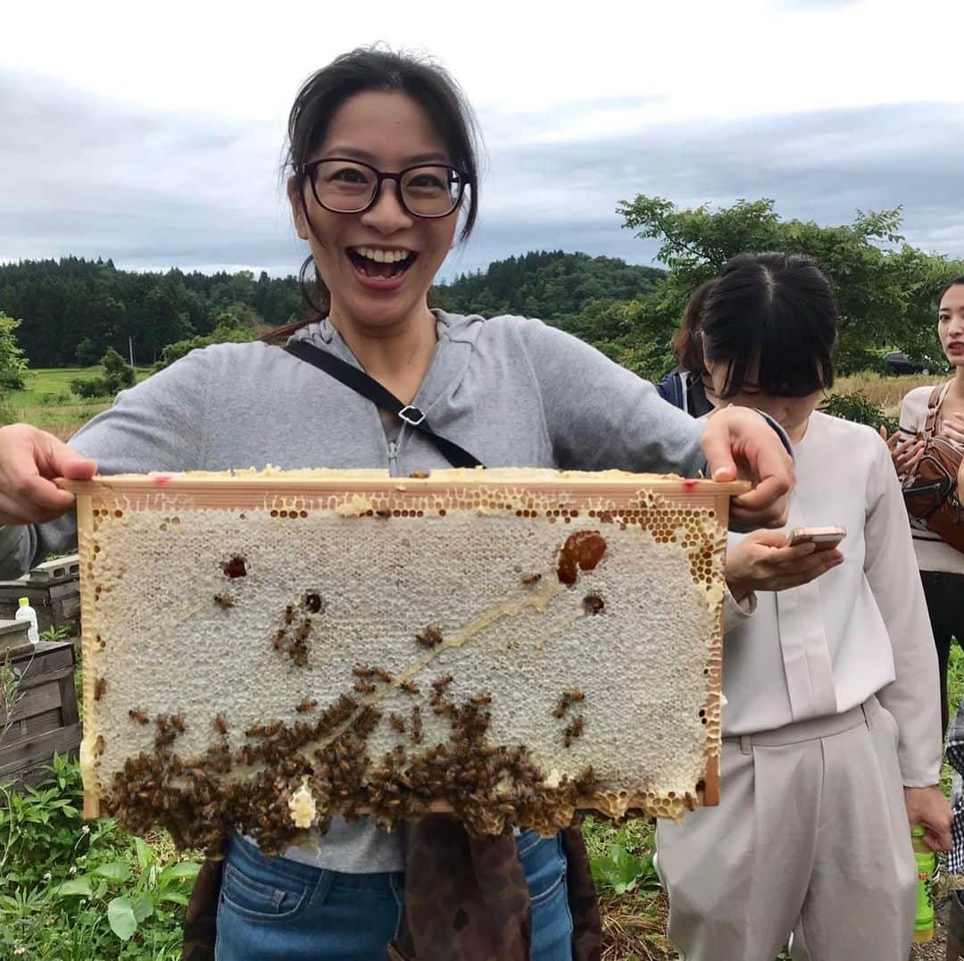 海津ゆうこさんのインスタグラム写真 - (海津ゆうこInstagram)「初めてお邪魔した養蜂場。 ハチってこんな所で生活してたんですね。 蜂蜜を作るこの板はかなりの重さで２〜３キロくらいあるそうです。 そして、板に付いている蜂蜜を初めて触りました。思っていたより柔らかい。 知らなかった事を知るって、とっても楽しいことですね。  #養蜂場 #阿賀野市 #八米 #蜂蜜 #ハチミツ #畑の座 #ミツバチ #養蜂 #フリーアナウンサー #今日のおやつ #instagood #instafood #instalike #instalife #instadaily #instapic #honey #美味しいもの #ミツバチは怖くない #阿賀野市産 #フィールドワーク #農業体験 #初めて #チョット怖かった #初体験 #地産地消 #地元農家 #地元の味」7月12日 22時52分 - yuco310