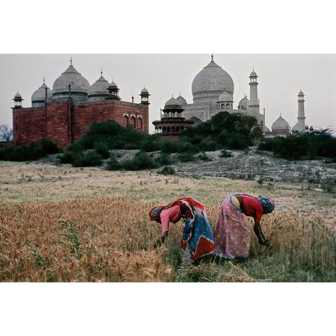 スティーブ・マカリーさんのインスタグラム写真 - (スティーブ・マカリーInstagram)「Two women working in a field in front of the #TajMahal, #Agra, #India, 1996. I recently revisited the site and discover that they are no longer cultivating the field; The land is now a green zone.」7月12日 22時51分 - stevemccurryofficial