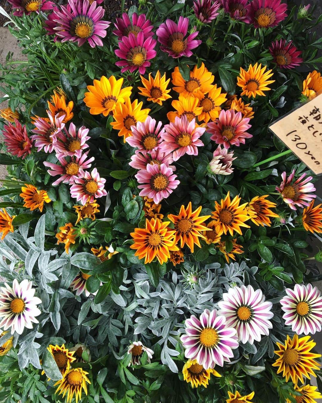 MILLE ECLAT.のグルメインスタ