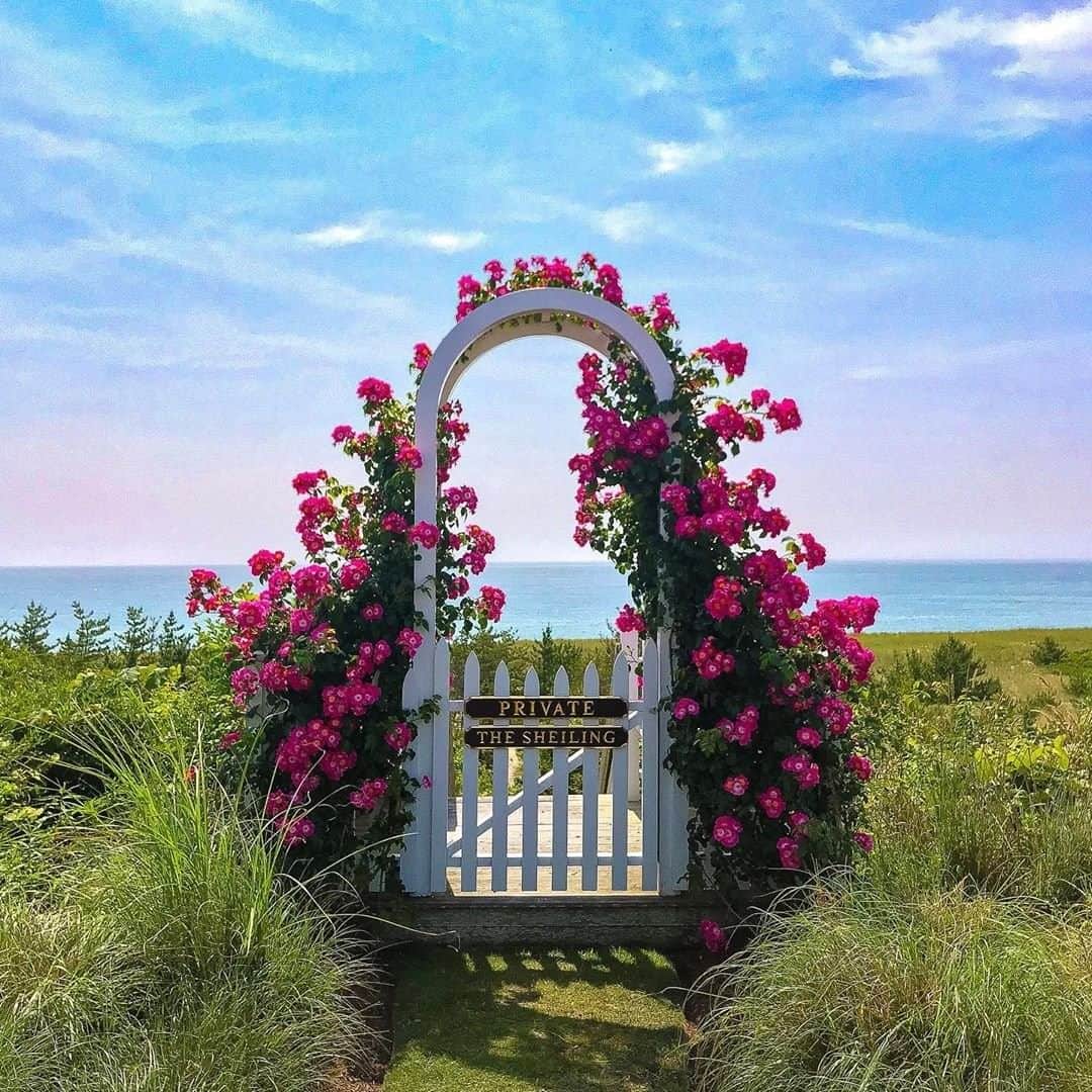 Travel + Leisureさんのインスタグラム写真 - (Travel + LeisureInstagram)「Those Nantucket blooms 🌺 When it comes to the best islands in the United States, readers gave the East Coast a near-clean sweep on this year’s list. Check out the full list of winners at our link in bio! #tlpicks courtesy of @soundshoresliving」7月12日 23時05分 - travelandleisure