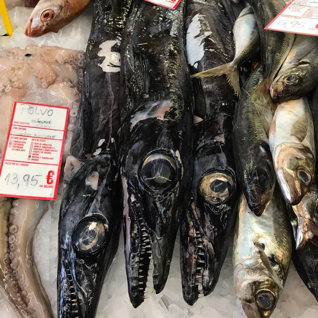 ヤマザキマリさんのインスタグラム写真 - (ヤマザキマリInstagram)「リスボンの市場 鮮魚店に並んでいたのはクロタチモドキという深海魚」7月13日 2時04分 - thermariyamazaki