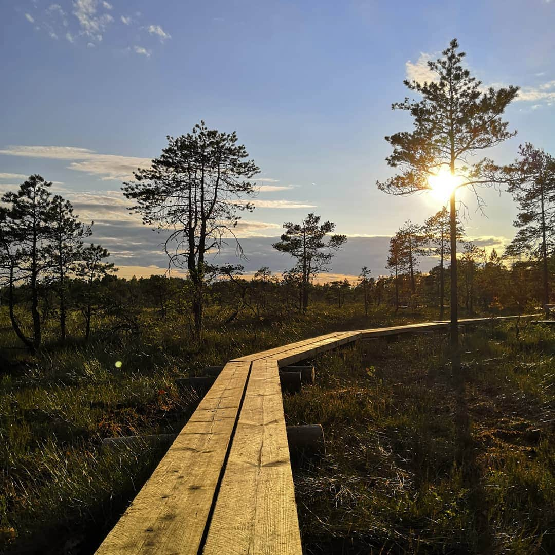 ミンナ・ニッカネンさんのインスタグラム写真 - (ミンナ・ニッカネンInstagram)「Enjoying silence and watching sun going down 🌄😍 . . #landscape #nationalparks #finland」7月13日 2時13分 - minna_alitalo