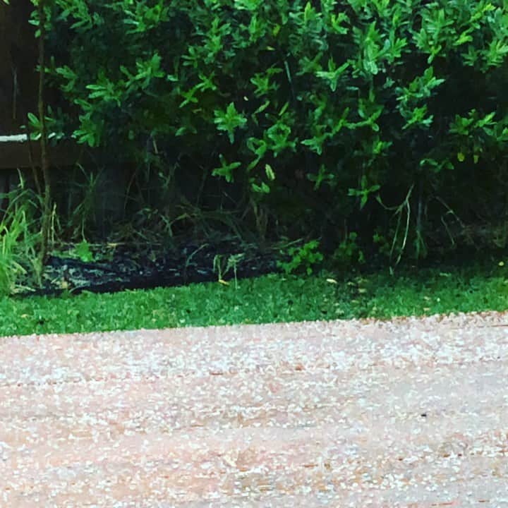 のインスタグラム：「雪？！」