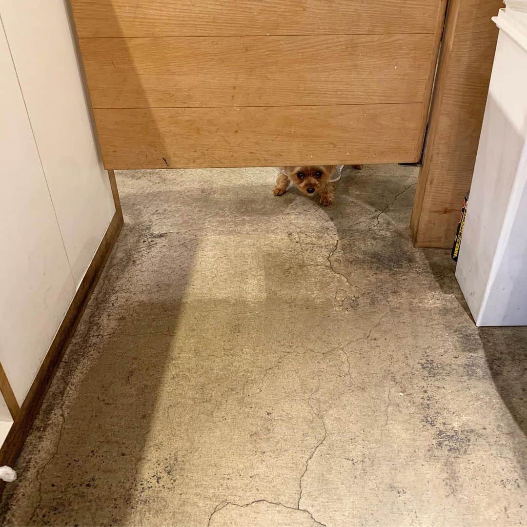 Rubyのグルメインスタ