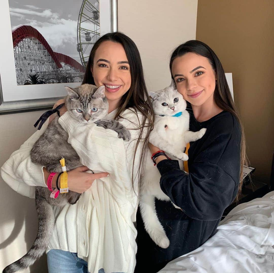 ミスター・ホワイトさんのインスタグラム写真 - (ミスター・ホワイトInstagram)「I want to be the only Coffee in your life ☕️ 💍 @vanessamerrell @veronicamerrell @merrelltwins」7月13日 12時42分 - white_coffee_cat