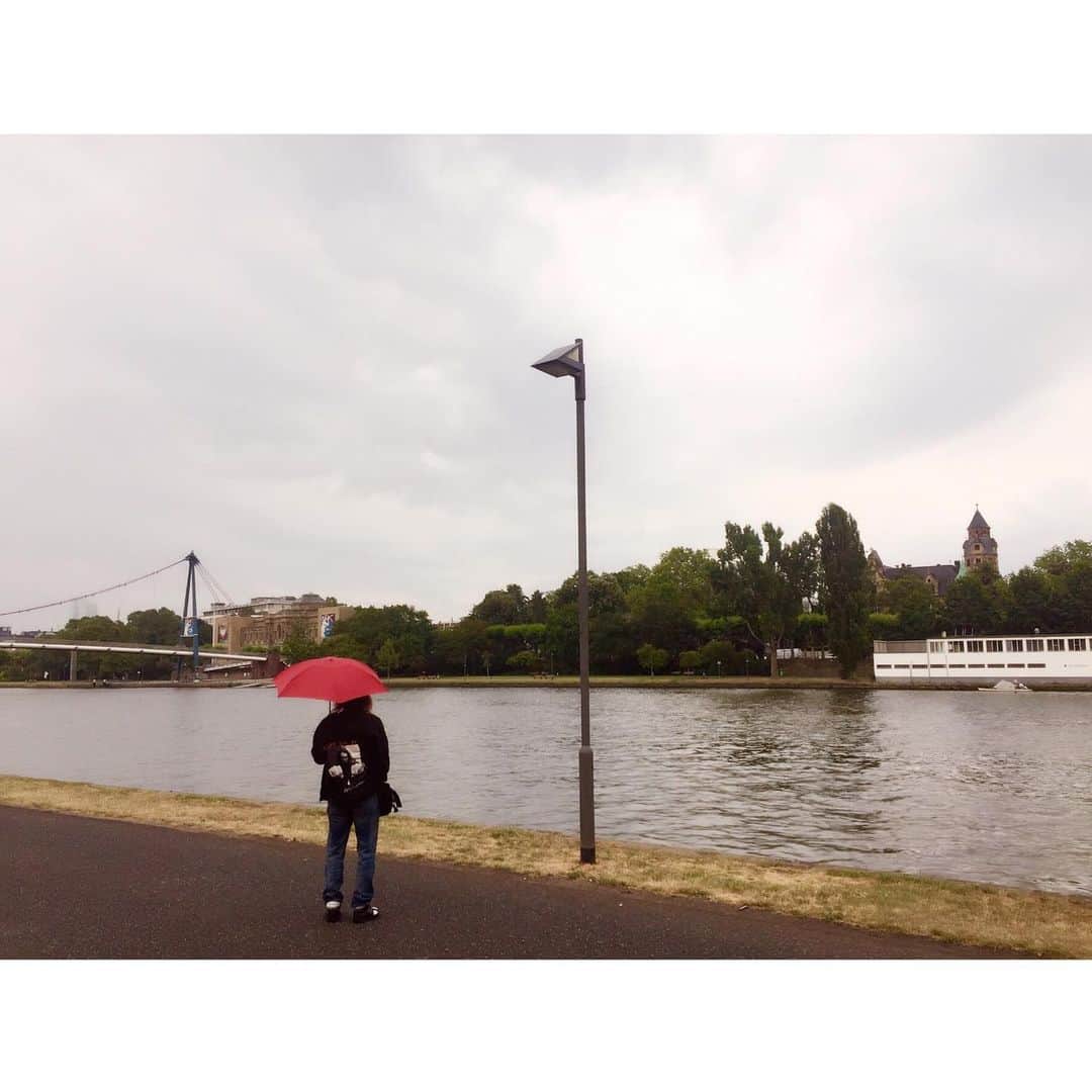 喜国雅彦＆国樹由香さんのインスタグラム写真 - (喜国雅彦＆国樹由香Instagram)「お散歩。マイン川のほとりをてくてくと。鳥たちも歩いてたのだけど、何て鳥かな？（由）  #rammstein #rammsteinfan #bigfan #europestadiumtour2019 #frankfurt #deutschland #ラム活 #海外の人って #傘ささないイメージあるけど #ドイツの人さしてた #ホッとした」7月13日 13時10分 - kunikikuni