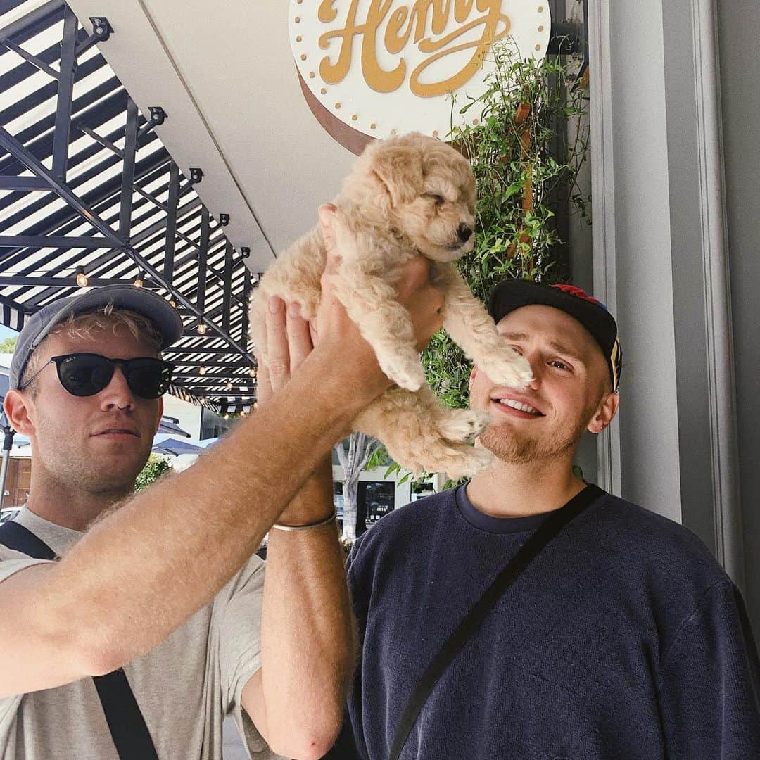 ブランドン・シェイアのインスタグラム：「Wooh... we are so fucked @arditheparty」