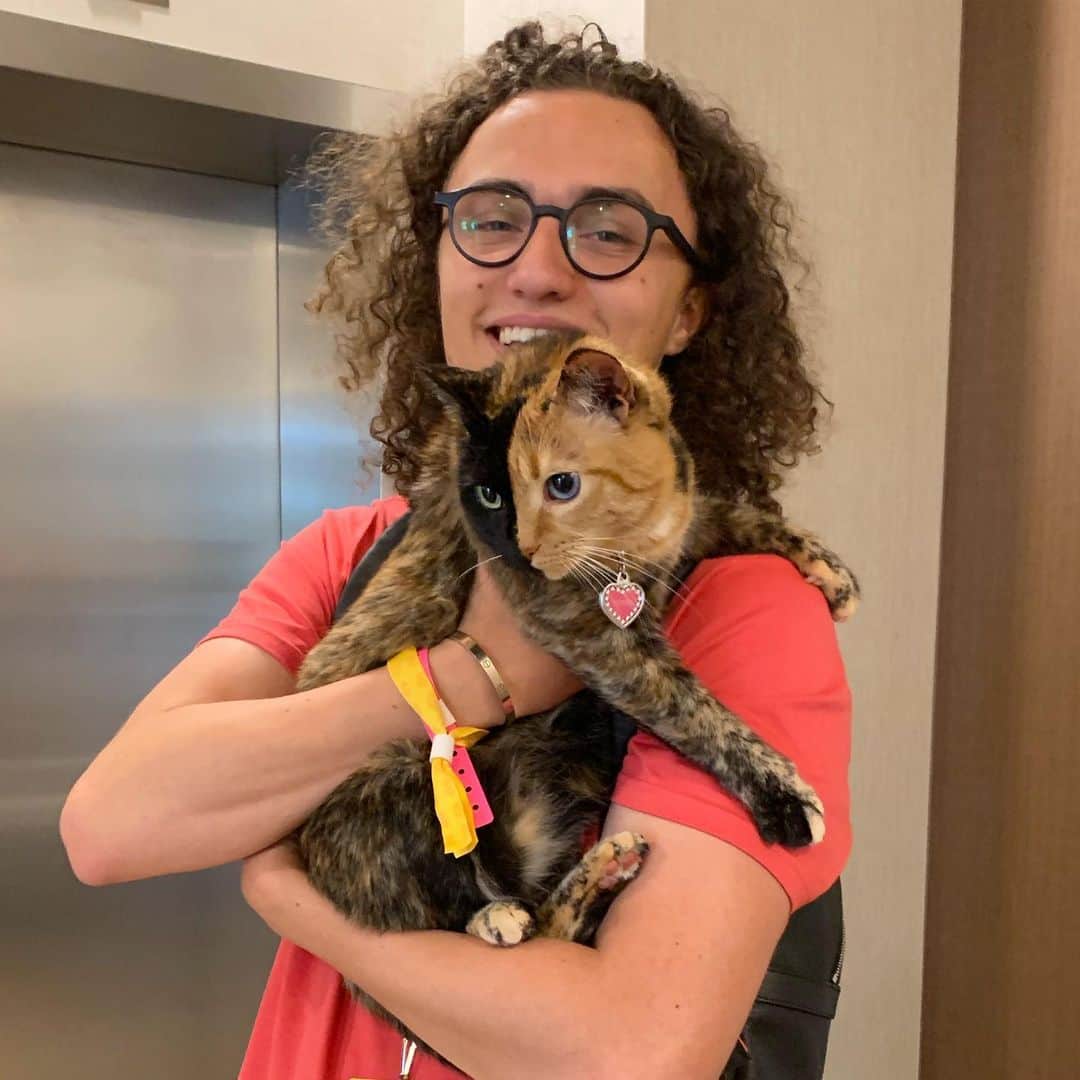 Venus Cat さんのインスタグラム写真 - (Venus Cat Instagram)「Met a new friend @kwebbelkop & @azzyland in the elevator today and guess what....they have an adopted kitty too! 😺❤️ #adoptdontshop #vidcon #vidcon2019 #vidconus」7月13日 5時28分 - venustwofacecat