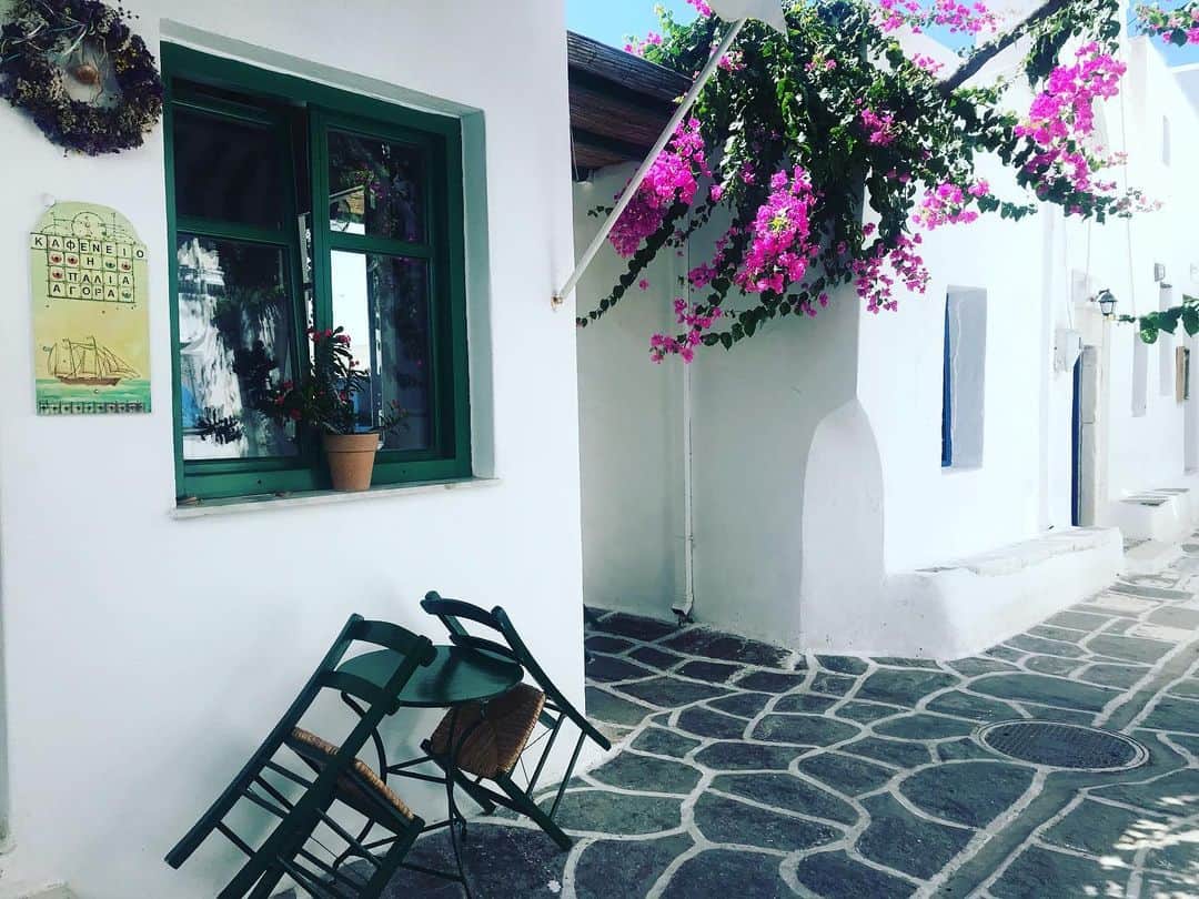 トームさんのインスタグラム写真 - (トームInstagram)「Favorite street in #Naoussa #Paros with mornings at the innovative @sousouro_ and evenings at the incomparable #kafeniapaliaagora #bougainvillea #Greece #tometravels」7月13日 5時36分 - tomenyc