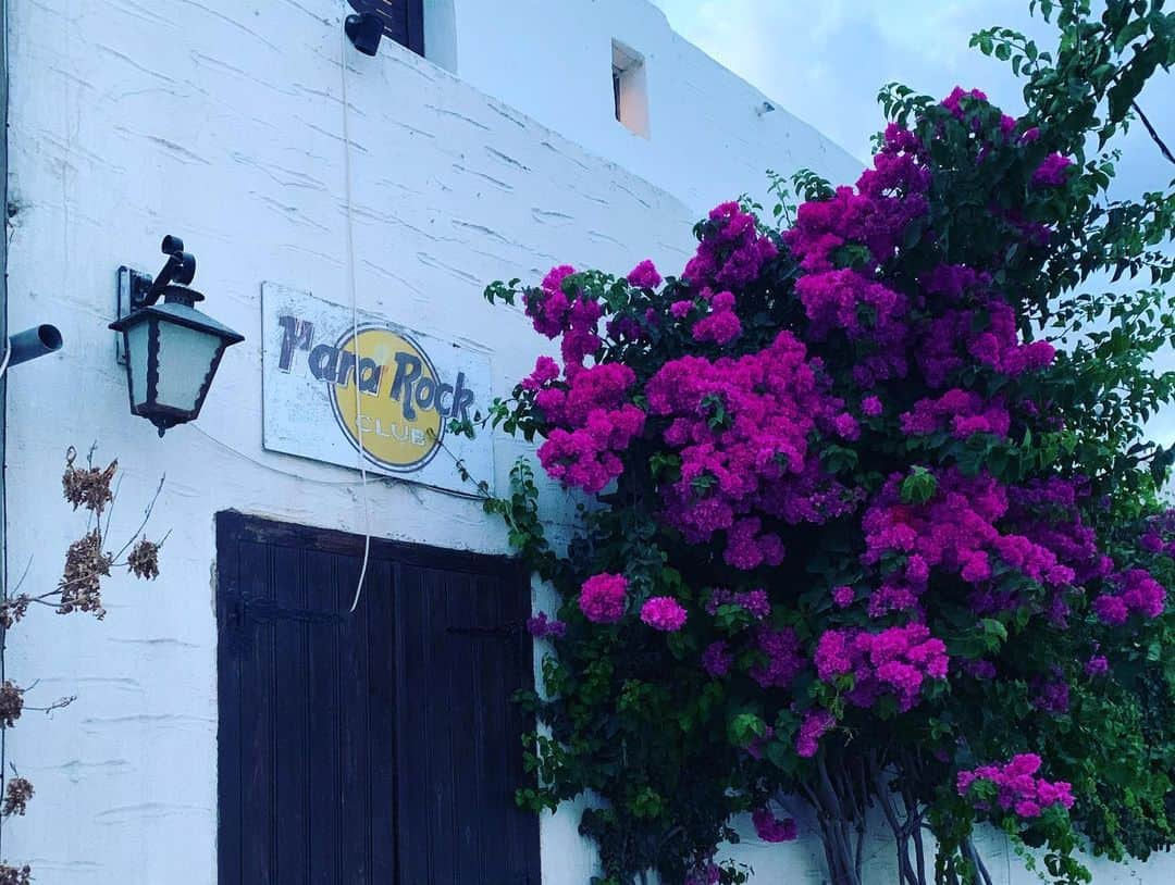 トームさんのインスタグラム写真 - (トームInstagram)「#Paros is all about chalk white buildings and rooftop #bougainvillea #Cyclades #Greece #tometravels」7月13日 5時47分 - tomenyc