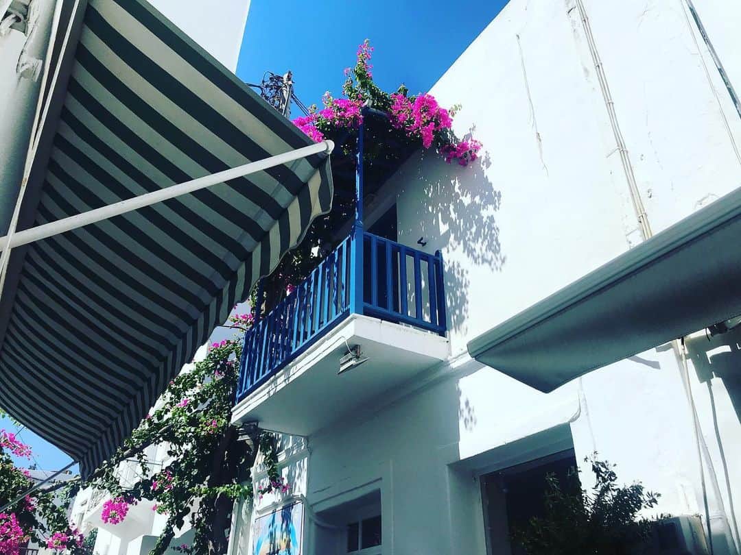 トームさんのインスタグラム写真 - (トームInstagram)「#Paros is all about chalk white buildings and rooftop #bougainvillea #Cyclades #Greece #tometravels」7月13日 5時47分 - tomenyc